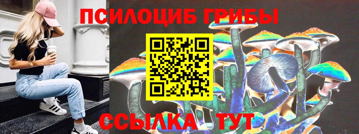 Псилоцибиновые грибы мухоморы Мирный