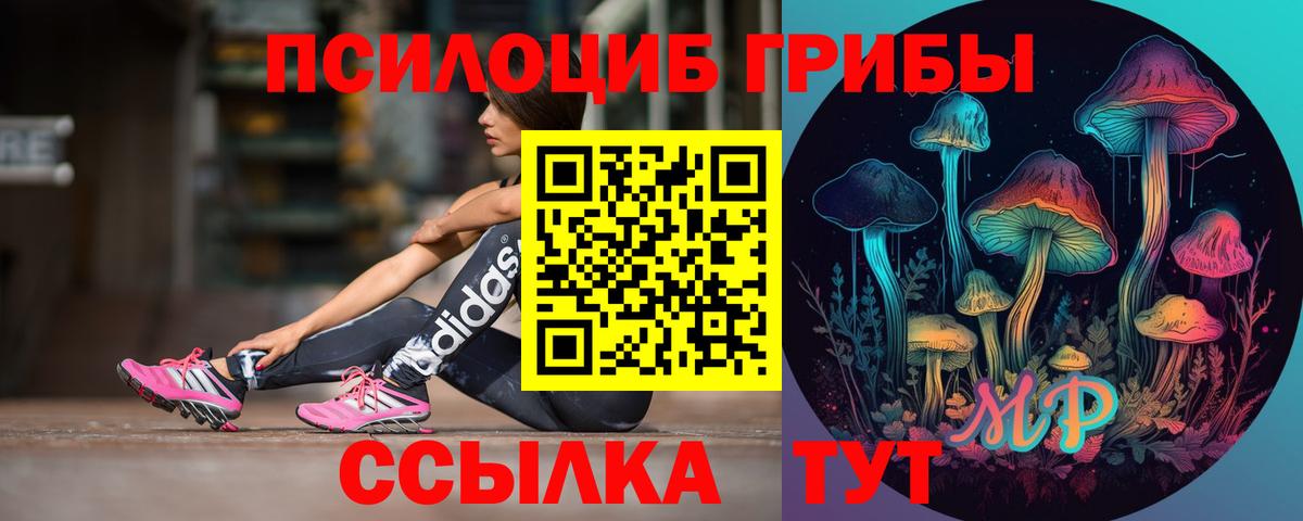 наркота  Псилоцибиновые грибы Psilocybine cubensis  Галлюциногенные грибы Psilocybine cubensis  Вход с VPN  Мирный 